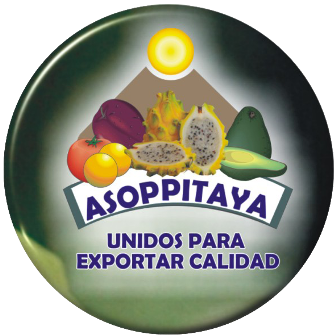 Aguacate  - Asoppitaya